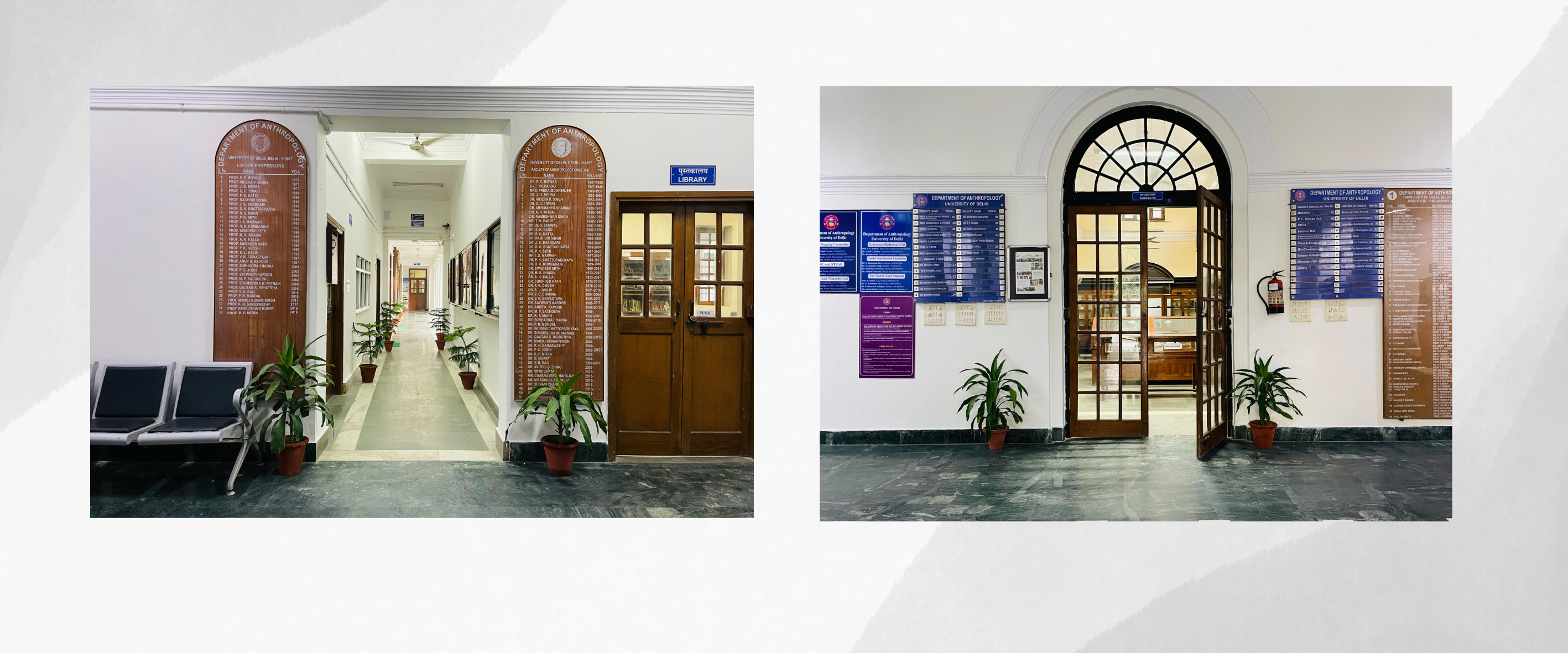 Department of Anthropology